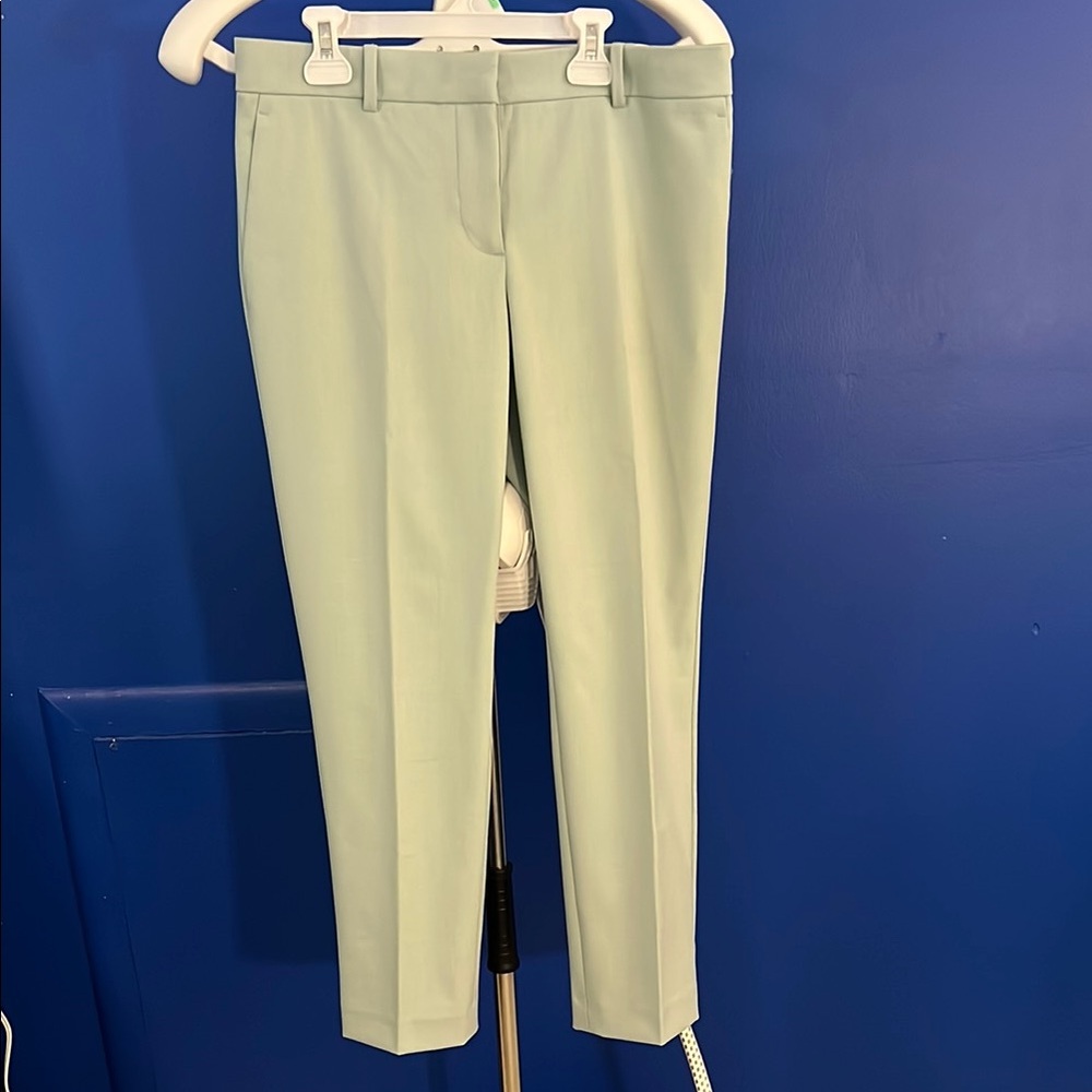 Ann Taylor Mint / Light Blue Green Women's Pants